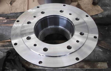A resistência da torsão forjou as flanges de aço da junção de regaço flanges/DN300 para Electric Power